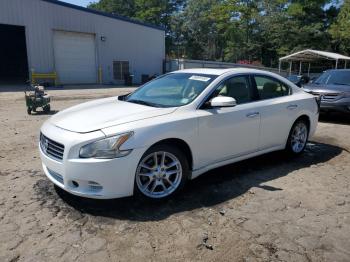  Salvage Nissan Maxima