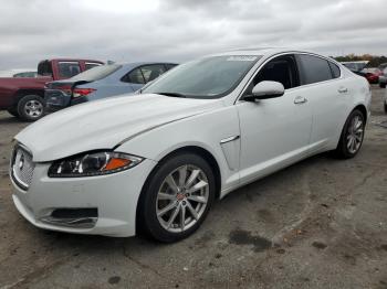  Salvage Jaguar XF