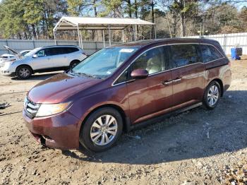  Salvage Honda Odyssey