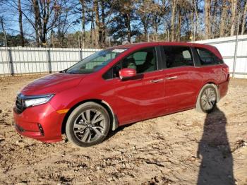  Salvage Honda Odyssey