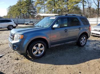  Salvage Ford Escape