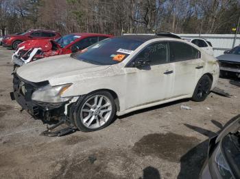  Salvage Nissan Maxima