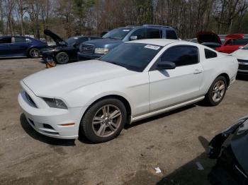  Salvage Ford Mustang