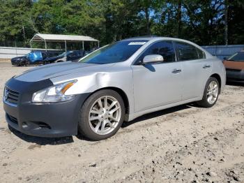  Salvage Nissan Maxima