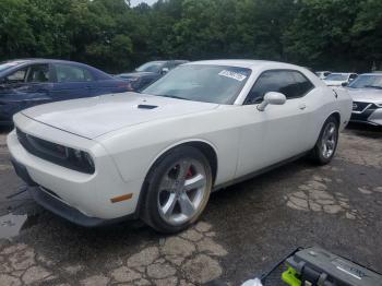  Salvage Dodge Challenger