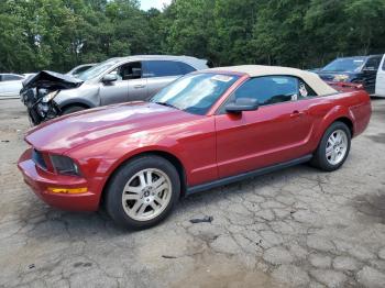  Salvage Ford Mustang
