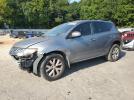 Nissan Murano S Image 1