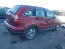 Honda Crv Lx Image 3