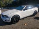 Ford Mustang Image 1