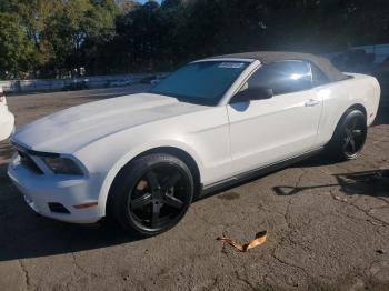  Salvage Ford Mustang