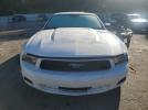 Ford Mustang Image 4
