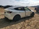 Tesla Model Y Image 5
