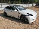 Tesla Model Y Image 4