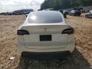 Tesla Model Y Image 7