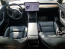 Tesla Model Y Image 8