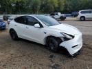 Tesla Model Y Image 4