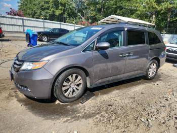  Salvage Honda Odyssey