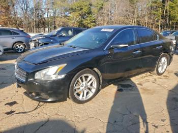  Salvage Nissan Maxima