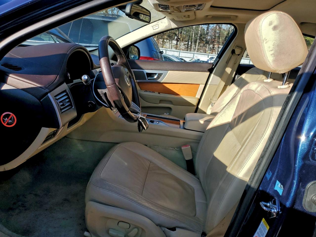 Jaguar XF Luxury Image 12