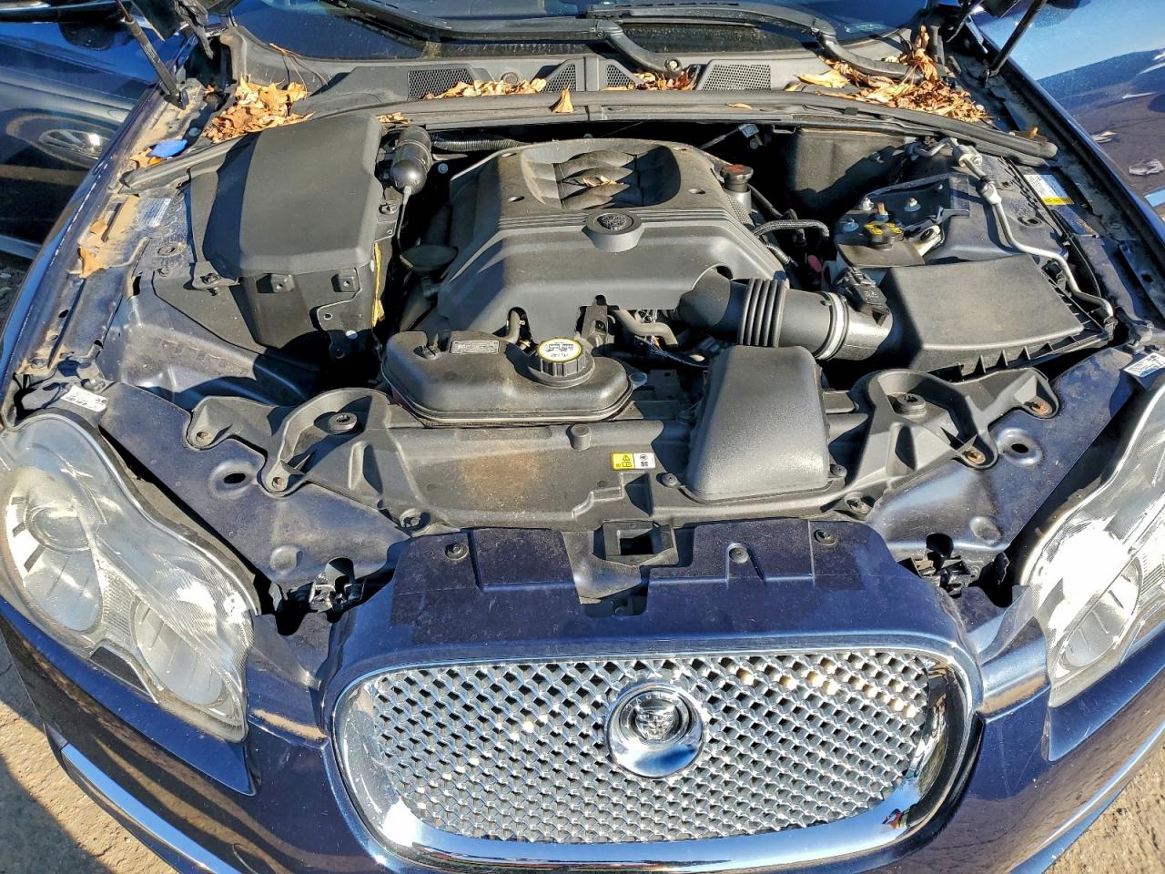 Jaguar XF Luxury Image 8