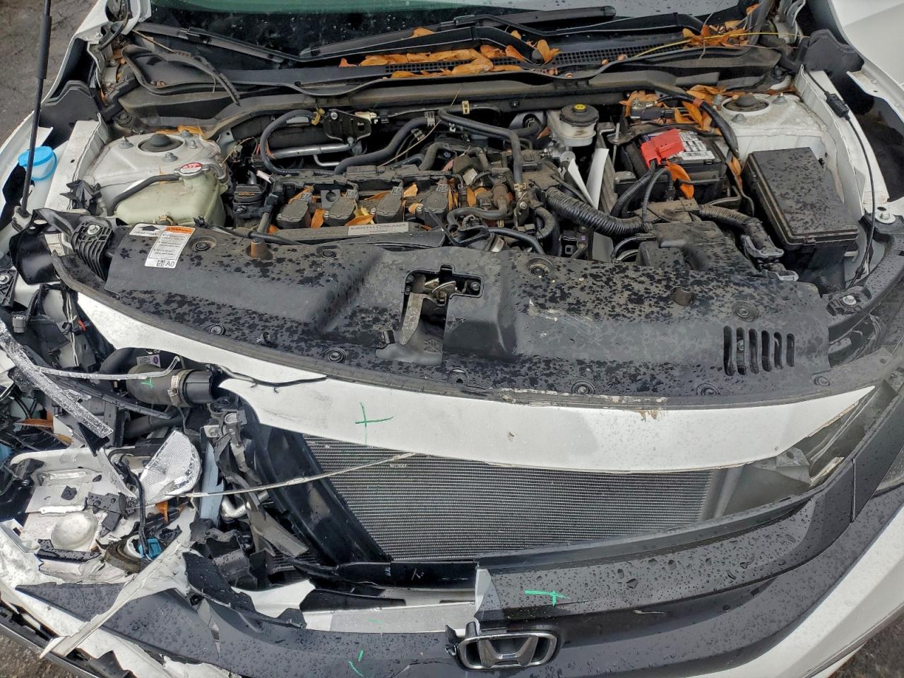 Honda Civic Exl Image 3