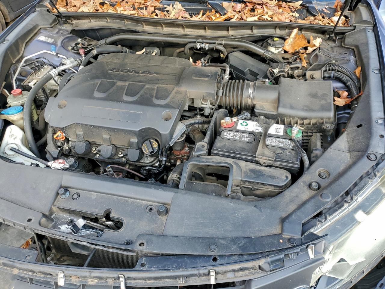 Honda Crosstour Exl Image 9