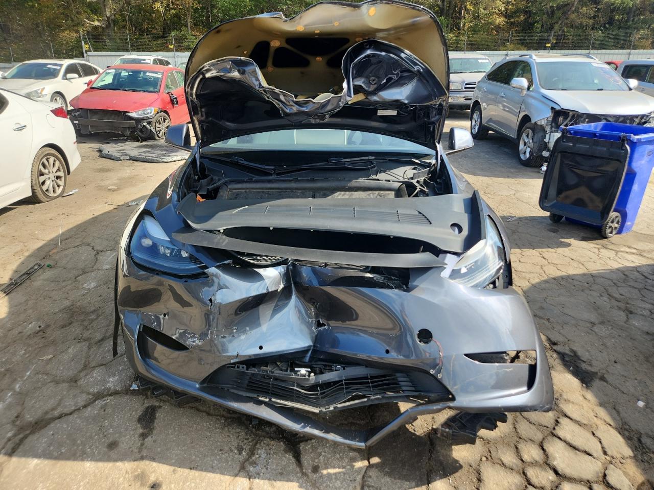 Tesla Model Y Image 12