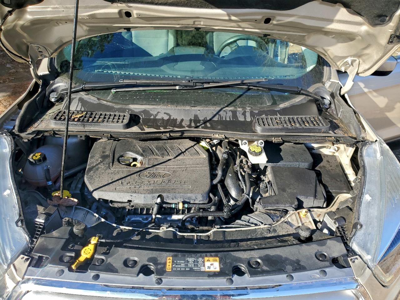 Ford Escape Se Image 11