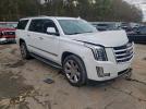 Cadillac Escalade Esv Luxury Image 5