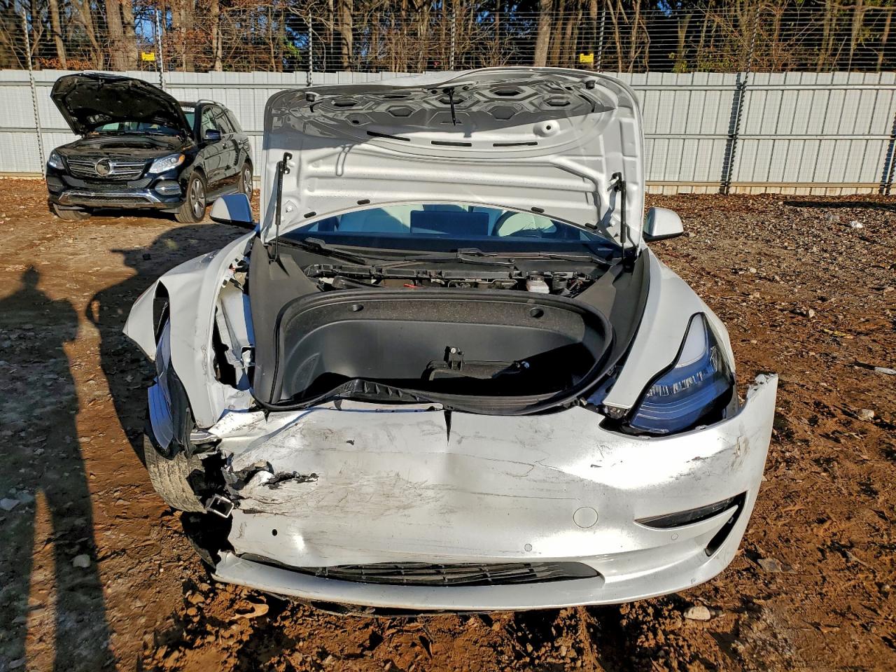 Tesla Model 3 Image 6