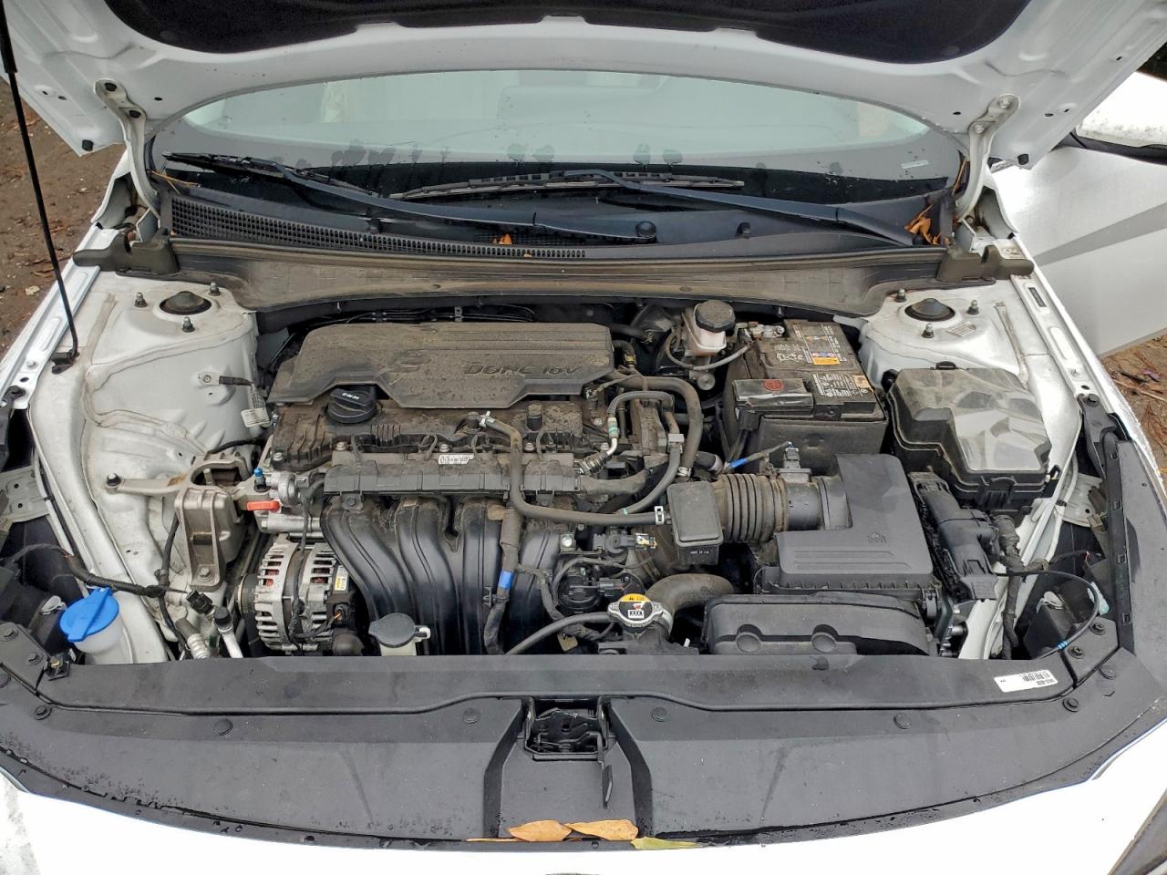 Hyundai ELANTRA Limited Image 11