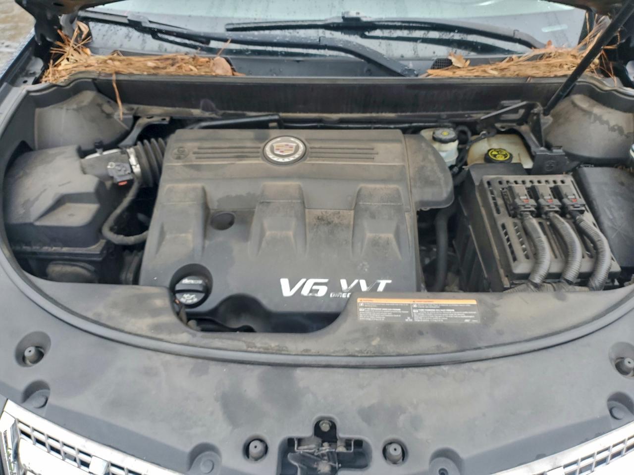 Cadillac SRX Luxury Collection Image 13