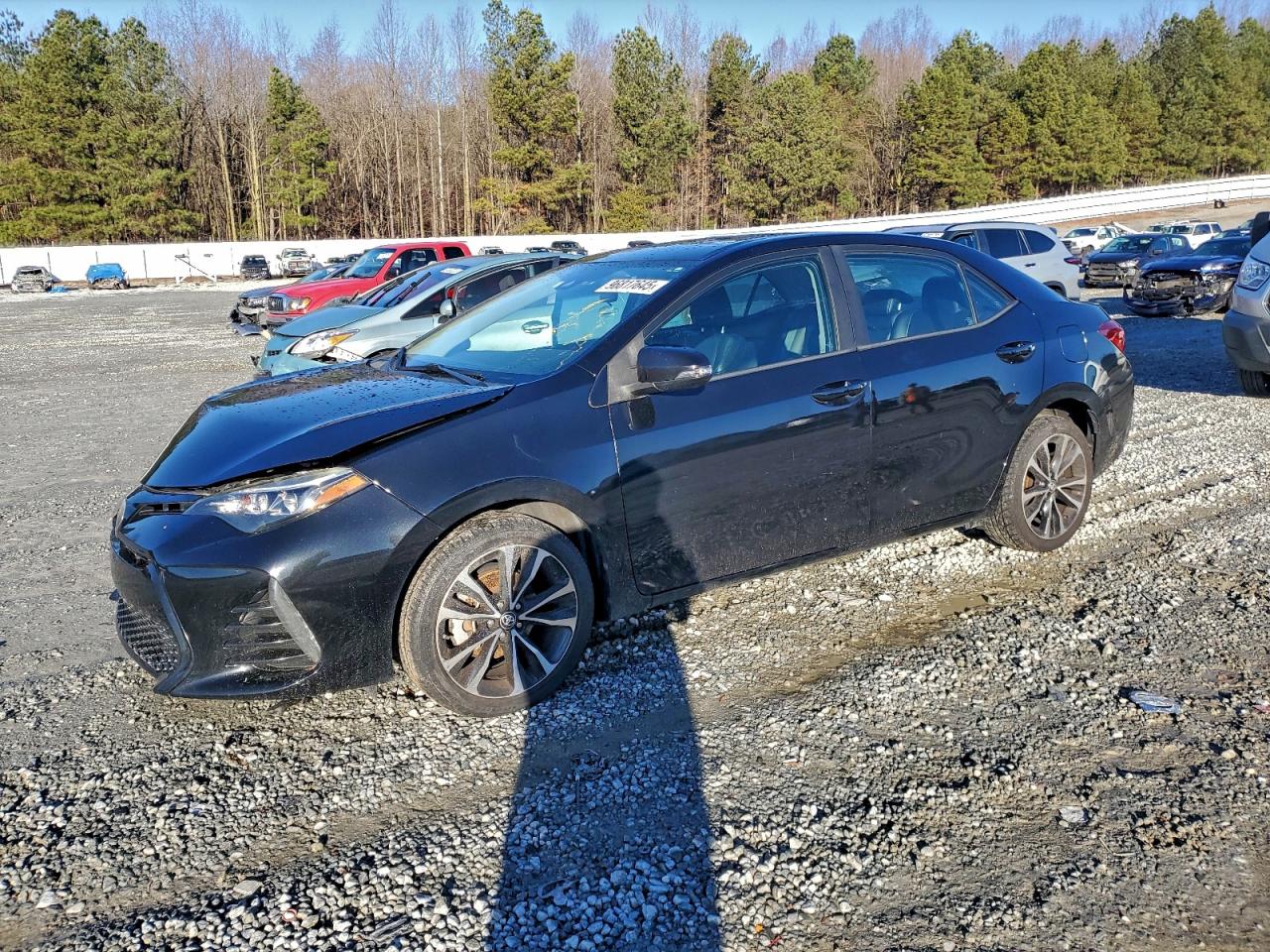 Toyota Corolla L Image 1