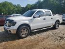 Ford F-150 Supercrew Image 1