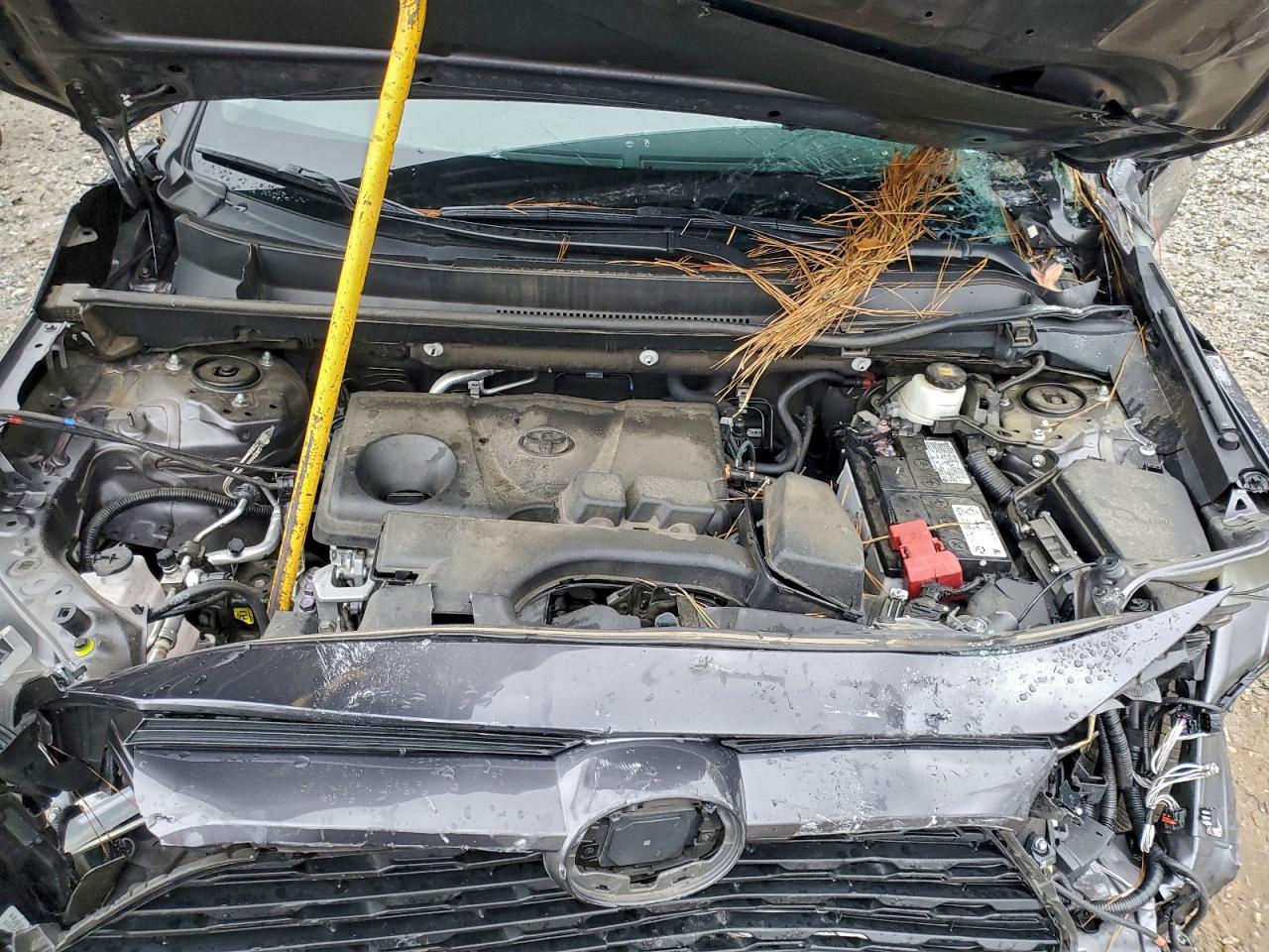 Toyota RAV4 Xle Image 12