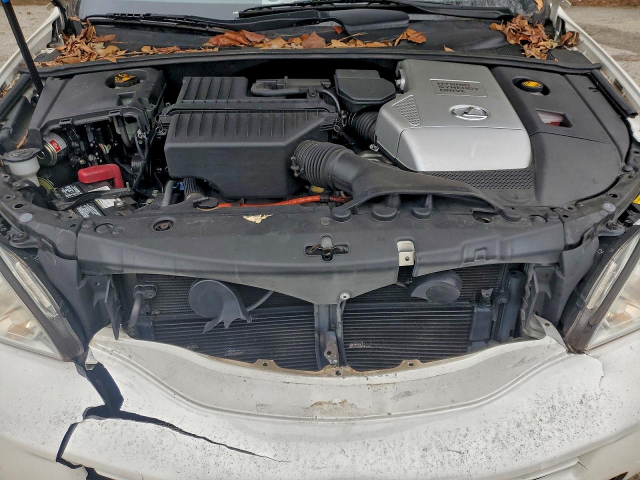 Lexus RX 400 Image 10