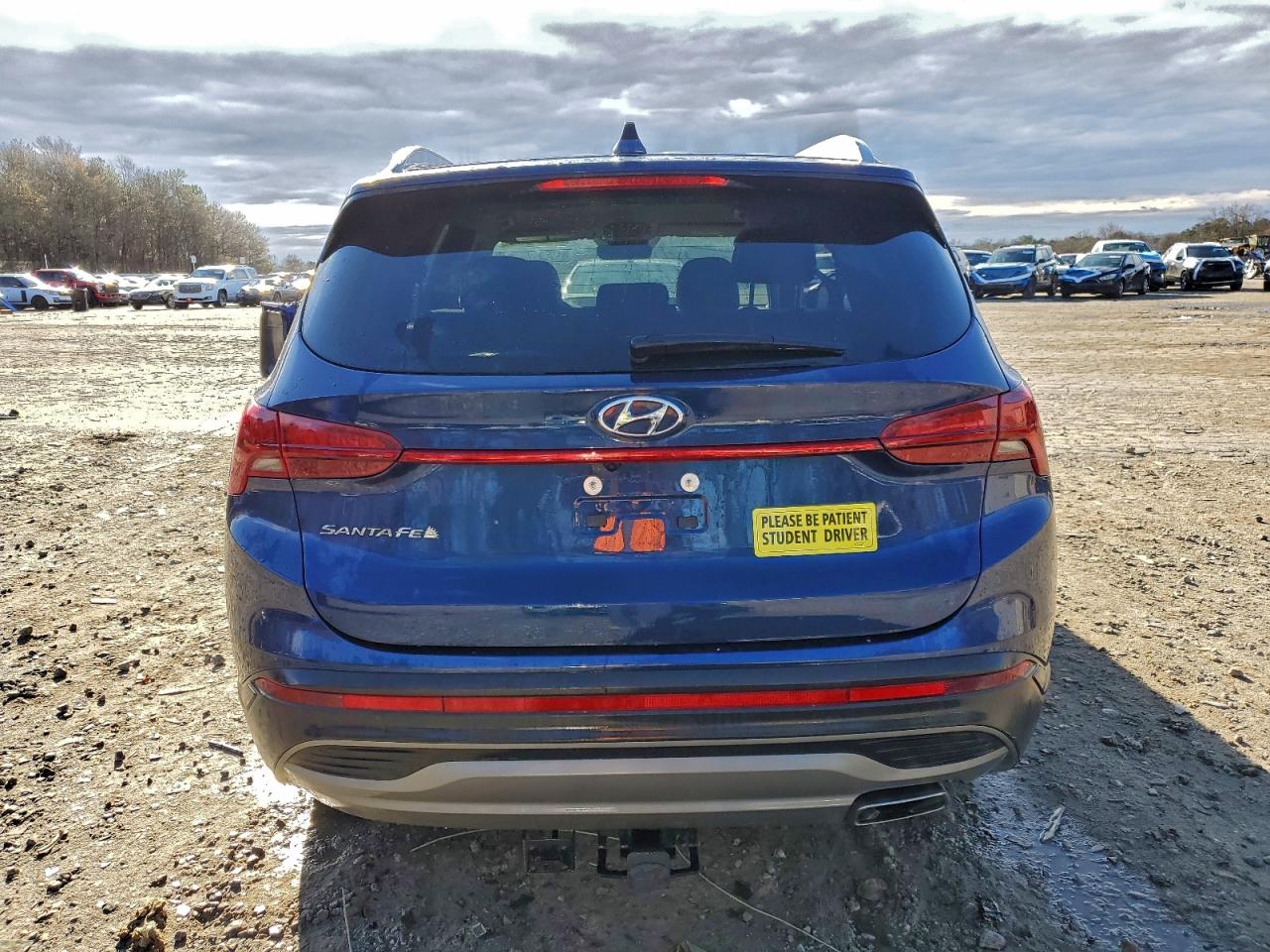 Hyundai SANTA FE Sel Image 5