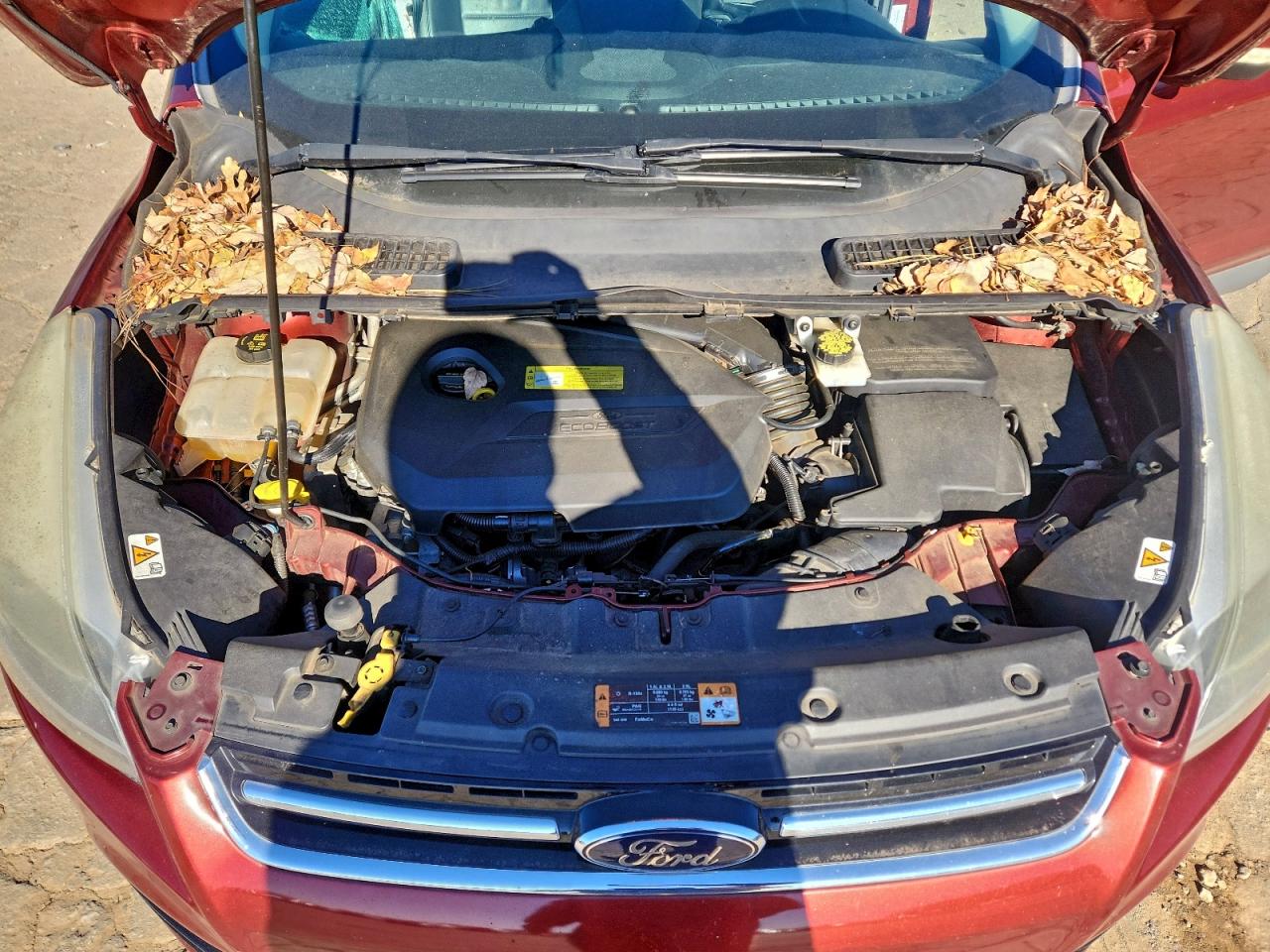 Ford Escape Titanium Image 11