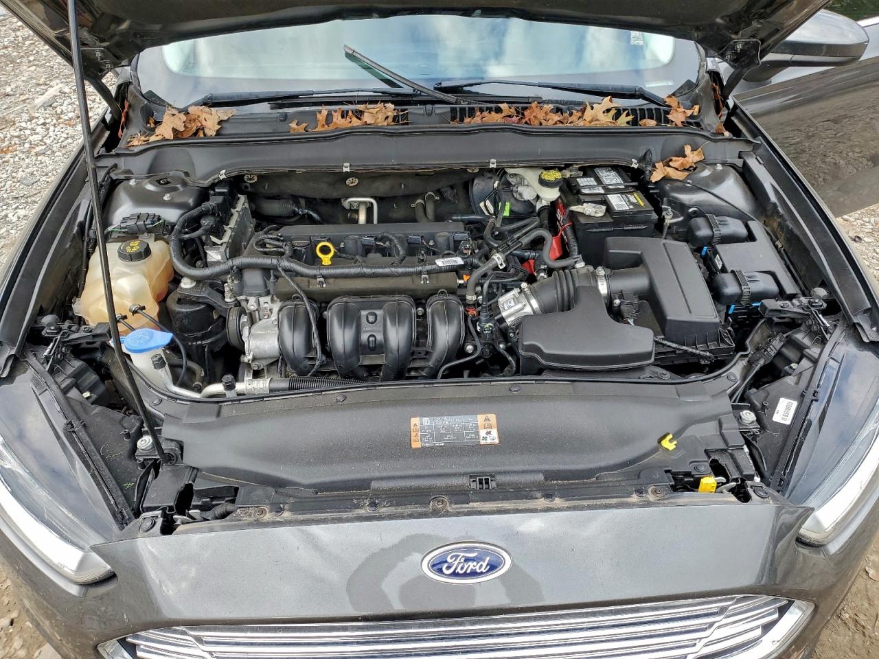 Ford Fusion S Image 7